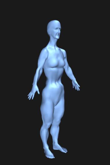 body image visualiser